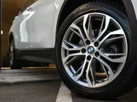 Usata BMW X1 Advantage 150 CV (110 kW) 2021 Bianco perla SUV