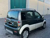 Usata Fiat Panda 60 CV (44 kW) 2009 Verde Utilitaria
