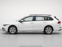 Usata VW Golf VIII Life 116 CV (85 kW) 2024 Bianco Station wagon