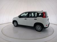 usata Fiat Panda 2ª serie NEW My23 1.0 70cv Hybrid