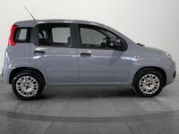 usata Fiat Panda 1.2 Easy usato