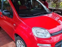 Usata Fiat Panda Easy 69 CV (50 kW) 2018 Rosso Utilitaria