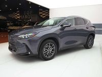 Usata Lexus NX350h 190 CV (139 kW) 2023 Antracite SUV