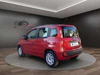 Usata Fiat Panda Pop 75 CV (55 kW) 2013 Rosso Utilitaria