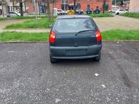 Usata Fiat Palio 2000 Berlina
