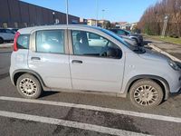 Usata Fiat Panda Red 69 CV (50 kW) 2022 Grigio Utilitaria