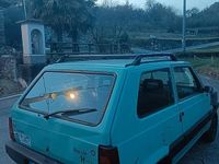 Usata Fiat Panda 54 CV (39 kW) 2001 Verde Utilitaria