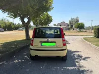 Usata Fiat Panda Dynamic 69 CV (50 kW) 2011 Giallo Utilitaria