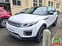 Usata Land Rover Range Rover evoque SE Dynamic 150 CV (110 kW) 2017 Bianco SUV