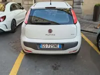 Usata Fiat Punto Evo Active 75 CV (55 kW) 2010 Bianco Utilitaria