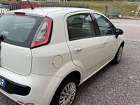 Usata Fiat Punto Evo Dynamic 77 CV (56 kW) 2011 Utilitaria