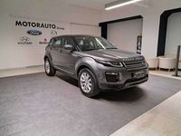 usata Land Rover Range Rover evoque Range Rover 2.0D I4-L.Flw 150 C