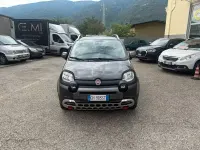 Usata Fiat Panda Cross Cross 85 CV (62 kW) 2022 Grigio Utilitaria