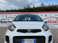Usata Kia Picanto 67 CV (49 kW) 2016 Bianco Utilitaria