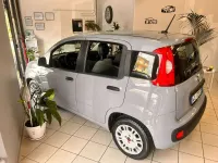 Usata Fiat Panda 69 CV (50 kW) 2021 Grigio Utilitaria