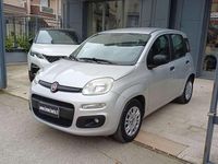 Usata Fiat Panda Easy 69 CV (50 kW) 2020 Argento Utilitaria