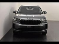Usata Skoda Kodiaq Executive 150 CV (110 kW) 2025 Grigio SUV
