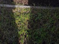 Usata Fiat Marea 2002 Bianco Station wagon