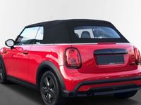 usata Mini Cooper Cabriolet Cooper Cabrio 1.5 Classic