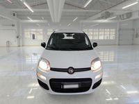 Usata Fiat Panda Easy 69 CV (50 kW) 2019 Bianco Utilitaria