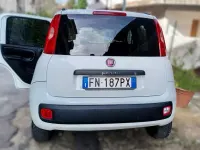 Usata Fiat Panda 4x4 S 80 CV (58 kW) 2018 Bianco Utilitaria