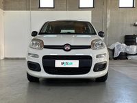 Usata Fiat Panda Easy 95 CV (69 kW) 2018 Bianco Utilitaria