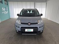 Usata Fiat Panda 4x4 Wild 86 CV (63 kW) 2021 Grigio Utilitaria