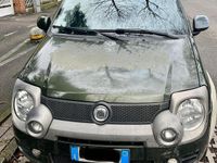Usata Fiat Panda 4x4 Cross 69 CV (50 kW) 2010 Verde Utilitaria