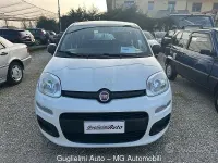 Usata Fiat Panda Lounge 69 CV (50 kW) 2020 Bianco Utilitaria