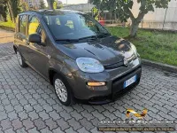 Usata Fiat Panda S 69 CV (50 kW) 2023 Grigio Utilitaria