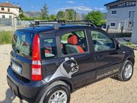 usata Fiat Panda 4x4 Panda 1.2 4x4 Climbing