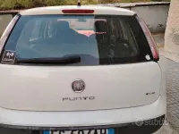 Usata Fiat Punto Evo 75 CV (55 kW) 2012 Bianco Utilitaria