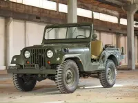 Usata Jeep Willys 1970 Verde SUV