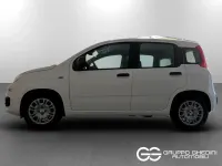 Nuova Fiat Panda Pop 65 CV (47 kW) 2026 Bianco gelato pastello Utilitaria