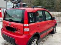 Usata Fiat Panda 4x4 Cross 69 CV (50 kW) 2006 Rosso Utilitaria
