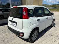 Usata Fiat Panda 69 CV (50 kW) 2019 Bianco Utilitaria