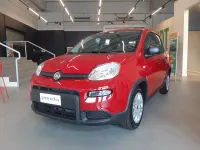 Usata Fiat Panda Pop 70 CV (51 kW) 2024 Utilitaria