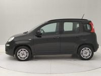 usata Fiat Panda III - 1.2 Lounge s&s 69cv my19