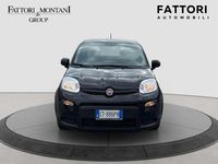 Usata Fiat Panda S 69 CV (50 kW) 2024 Nero Utilitaria