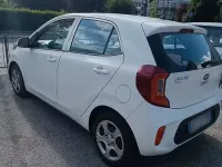Usata Kia Picanto 67 CV (49 kW) 2019 Bianco Utilitaria