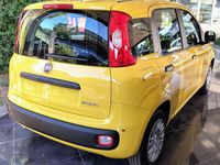 Nuova Fiat Panda Pop 69 CV (50 kW) 2025 Giallo Utilitaria