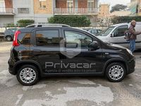 Usata Fiat Panda S 69 CV (50 kW) 2024 Nero Utilitaria