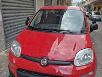 Usata Fiat Panda Cross Cross 71 CV (52 kW) 2020 Rosso Utilitaria