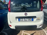 Usata Fiat Panda S 69 CV (50 kW) 2024 Bianco Utilitaria
