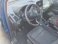 Usata Ford Ecosport 99 CV (72 kW) 2019 SUV
