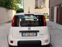 Usata Fiat Panda S 69 CV (50 kW) 2023 Utilitaria