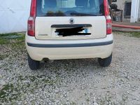 Usata Fiat Panda Active 54 CV (39 kW) 2007 Beige Utilitaria