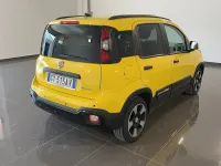 Usata Fiat Panda Cross Cross 70 CV (51 kW) 2025 509yellow solid paint Utilitaria