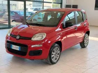 Usata Fiat Panda Easy 70 CV (51 kW) 2019 Rosso Utilitaria