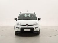 Usata Fiat Panda City Life 71 CV (52 kW) 2022 Bianco Utilitaria